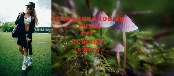 первитин Армянск