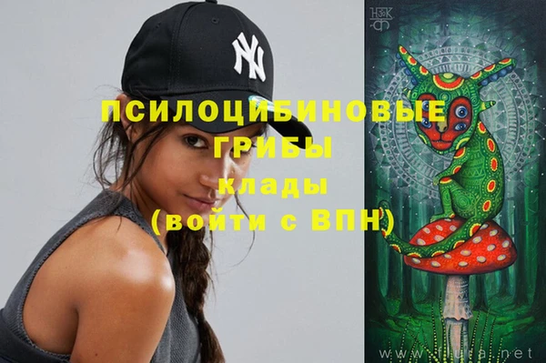 первитин Армянск