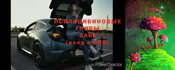 шишки Надым